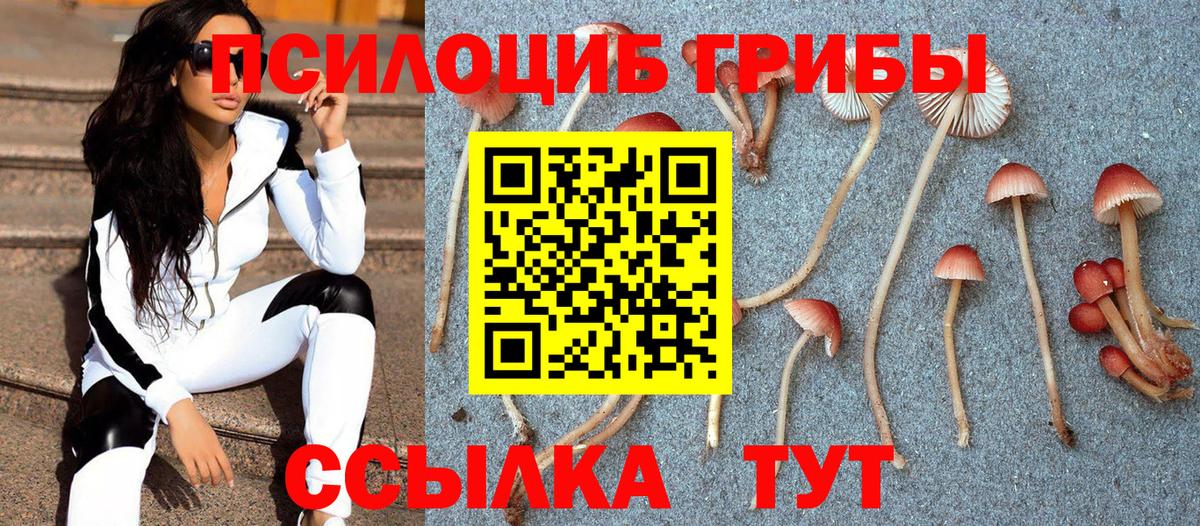 Галлюциногенные грибы Magic Shrooms  Вход с VPN  Ишим  Псилоцибиновые грибы MAGIC MUSHROOMS 
